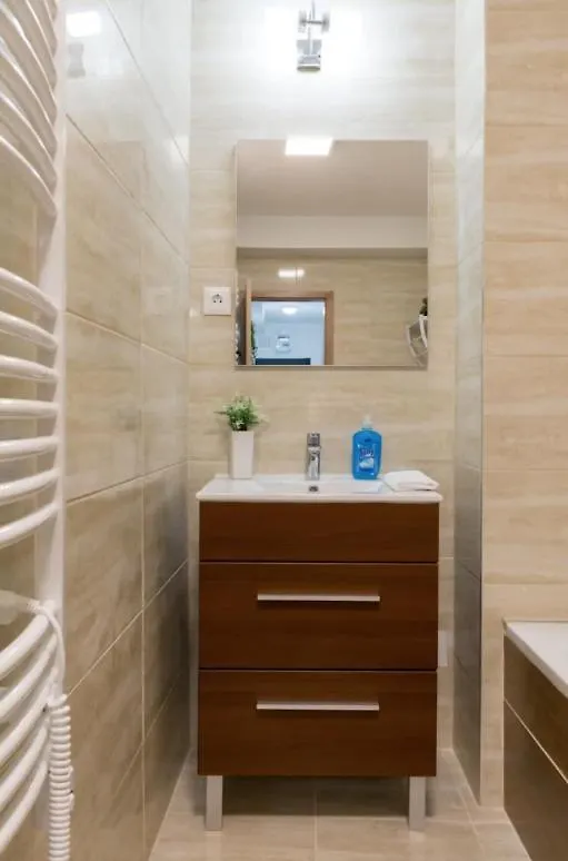 King Deluxe Apartment 布达佩斯 匈牙利